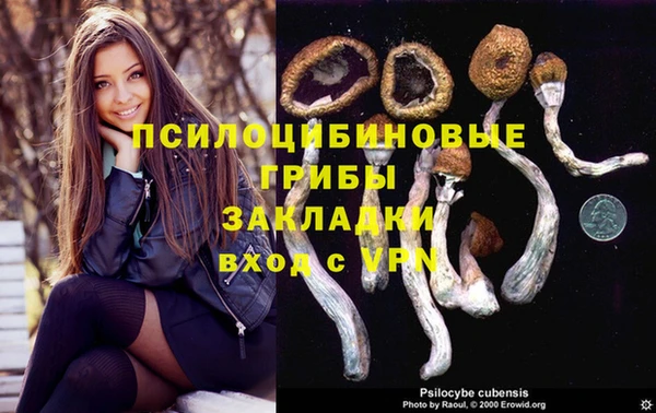 ALPHA PVP Краснослободск