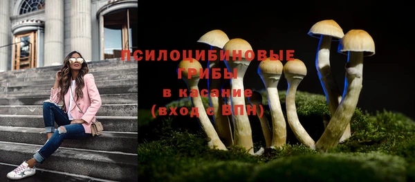 ALPHA PVP Краснослободск