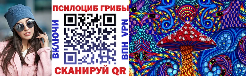Купить закладки  Городец  Псилоцибиновые грибы Psilocybe 